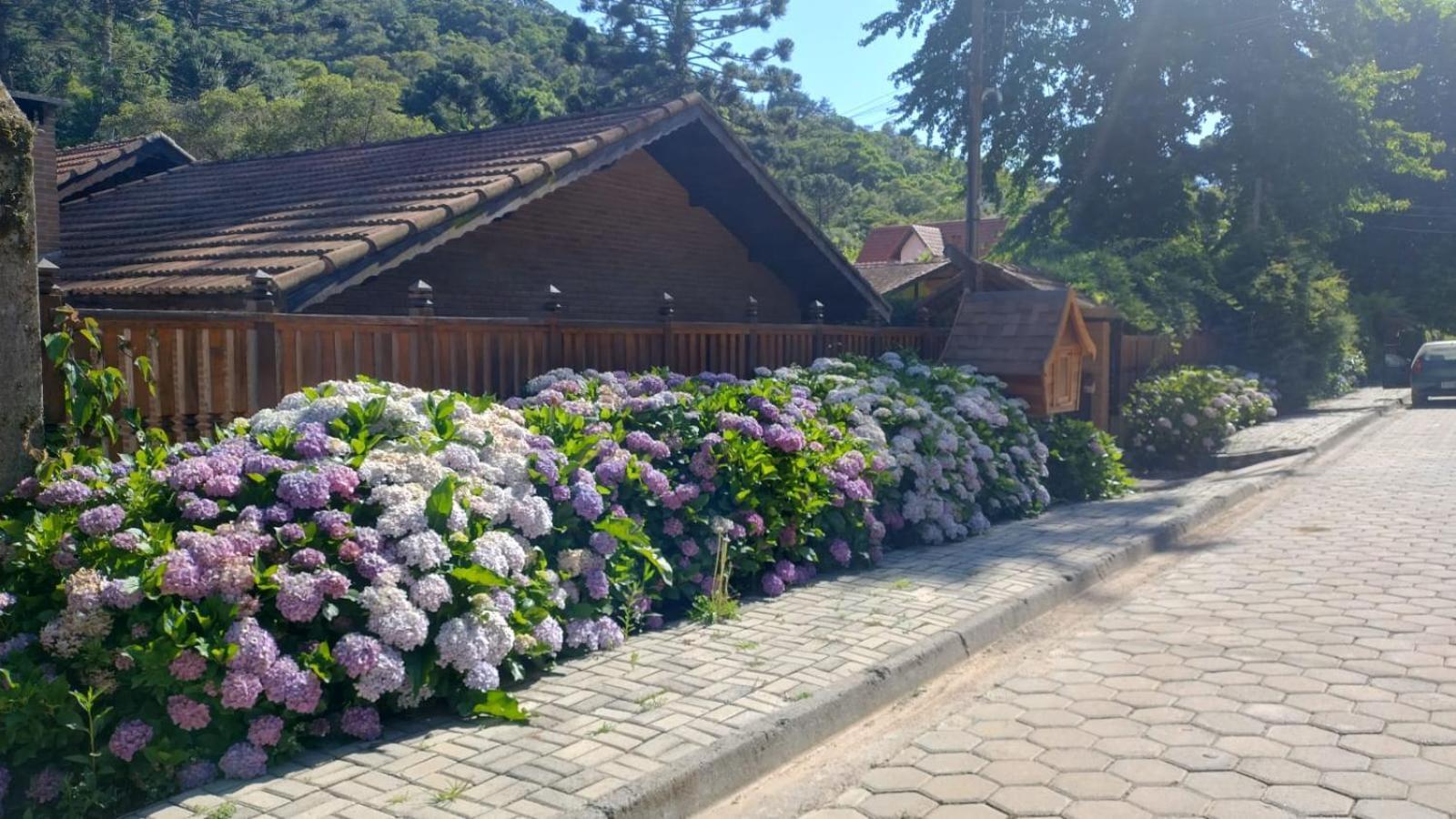 Chale Aroma Da Serra Monte Verde  Exterior foto